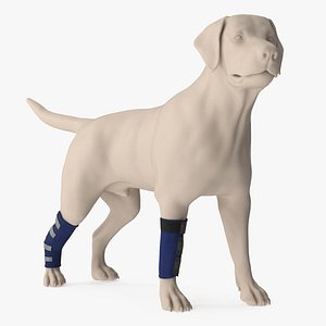 Dog Compression Wrap for Front and Rear Legs on Mannequin
