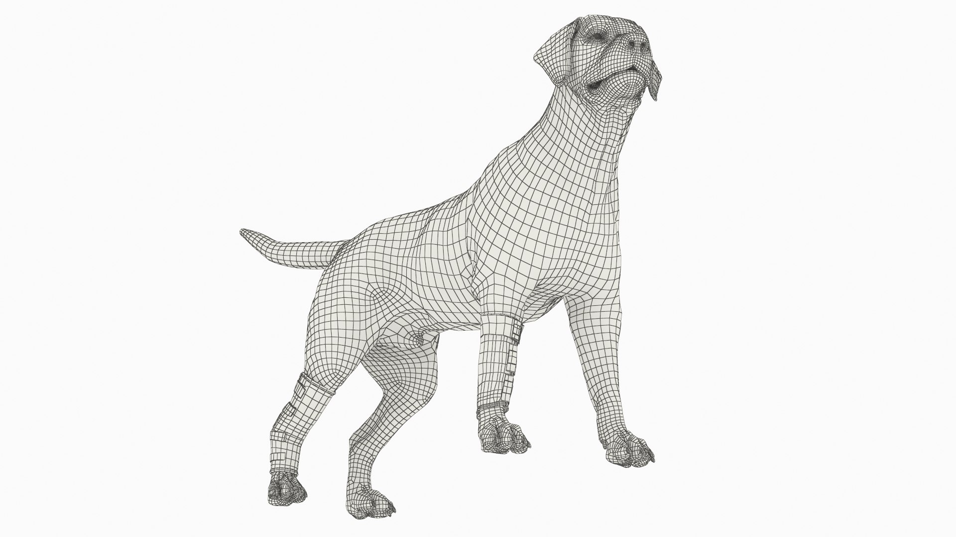 Dog Compression Wrap for Front and Rear Legs on Mannequin 3D model https://p.turbosquid.com/ts-thumb/85/b3w67G/UF/dog_compression_wrap_for_front_and_rear_legs_on_mannequin_013/jpg/1754987152/1920x1080/fit_q87/56523eb3cf956e4fe678e68f750719a6fca4cf98/dog_compression_wrap_for_front_and_rear_legs_on_mannequin_013.jpg