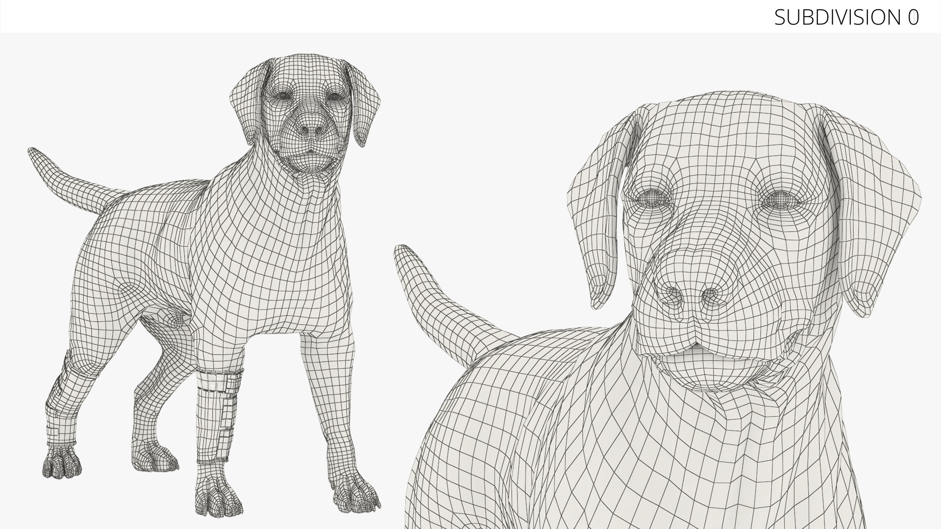 Dog Compression Wrap for Front and Rear Legs on Mannequin 3D model https://p.turbosquid.com/ts-thumb/85/b3w67G/lo/dog_compression_wrap_for_front_and_rear_legs_on_mannequin_010/jpg/1754987138/1920x1080/fit_q87/c1db955bf6679e4dd639958d4216aee8ae510379/dog_compression_wrap_for_front_and_rear_legs_on_mannequin_010.jpg