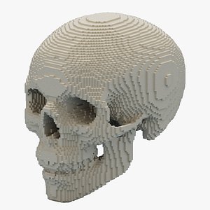 3D Voxel Skull model