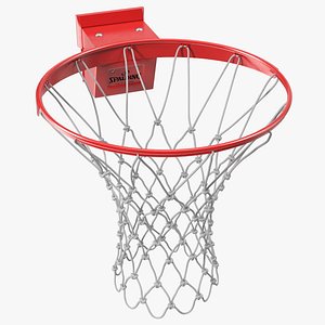 Basketball Hoop and Net Spalding