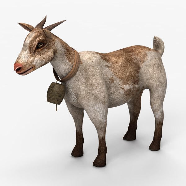 3d Goat Model