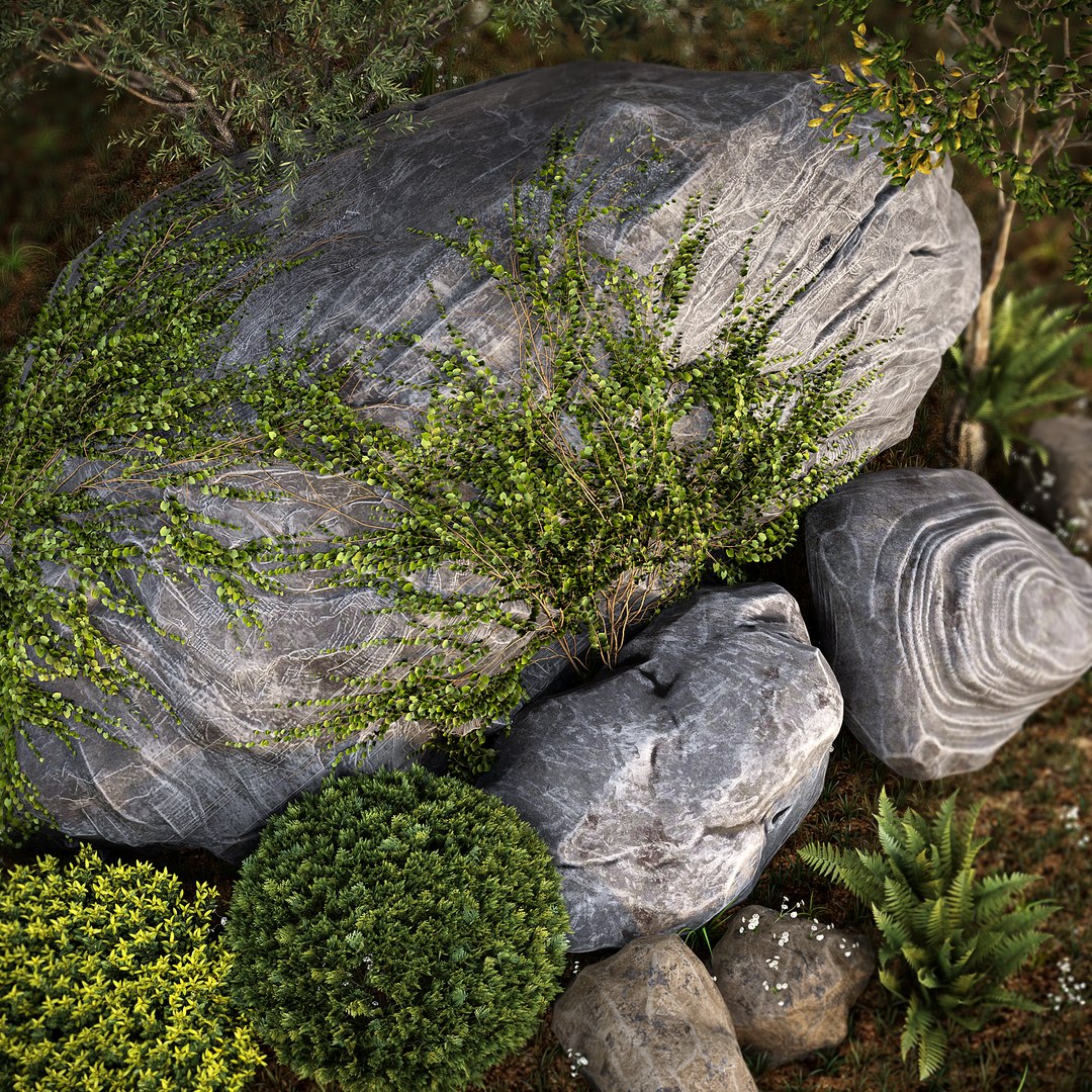 3D model Rocks  Plants Combination https://p.turbosquid.com/ts-thumb/85/wzGmOg/Jn/rocksplants3/jpg/1686585482/1920x1080/fit_q87/97f8c626f4081e423576312a44a037b6cf62dff8/rocksplants3.jpg