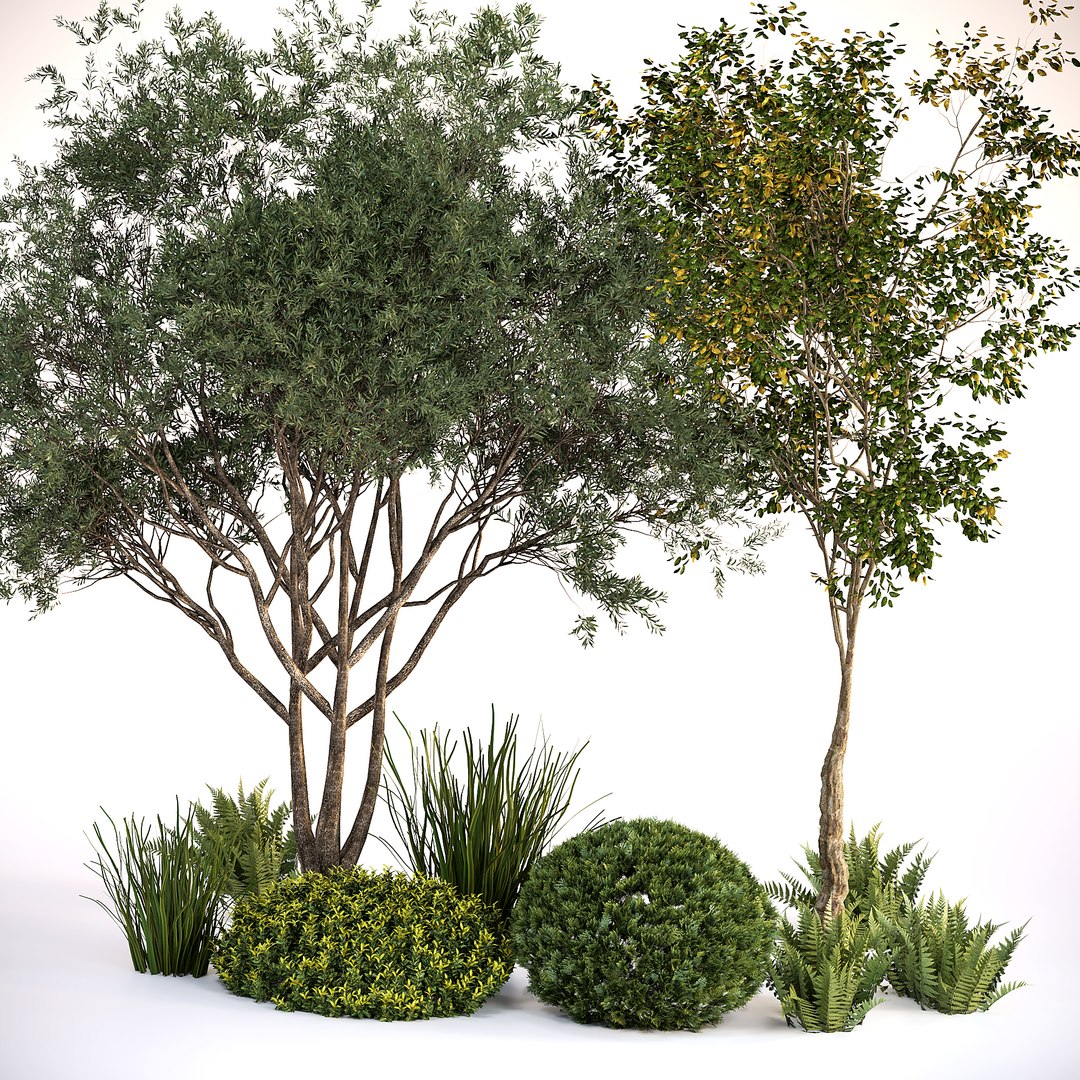 3D model Rocks  Plants Combination https://p.turbosquid.com/ts-thumb/85/wzGmOg/Xu/rocksplants5/jpg/1686585500/1920x1080/fit_q87/7ed47acf7d2f63f0463e3a01f13fd455a07212d7/rocksplants5.jpg