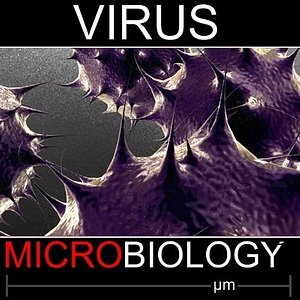 obj mimivirus medical