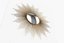 Vues globales Sunburst Mirror