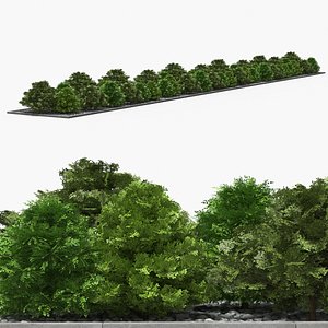 Garden Shrub Row with Decorative Gravel Green Gray