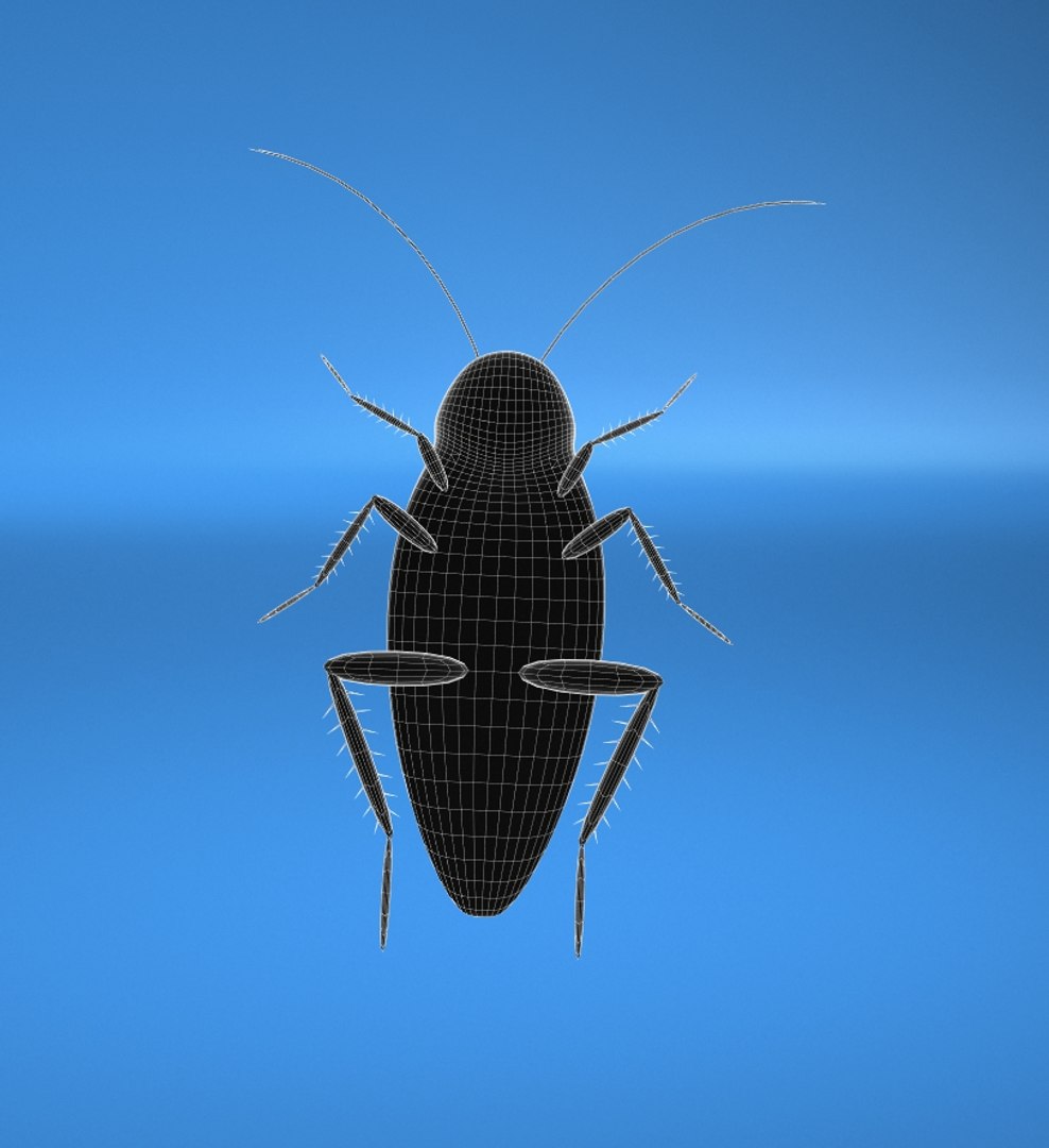 3d cockroach model https://p.turbosquid.com/ts-thumb/86/QilC6r/2JZ4iWiQ/blue3/jpg/1369214662/1920x1080/fit_q87/4270cda11a7c0c0caa2a9f2ff3babf0b42e053d3/blue3.jpg