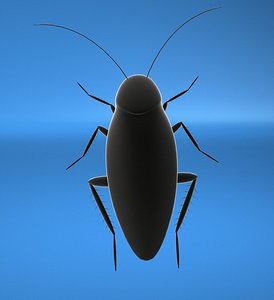 3d cockroach model