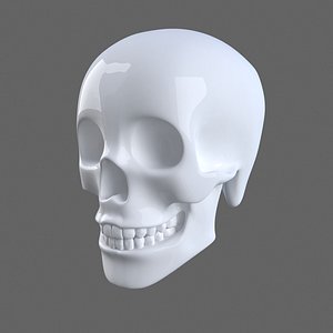 Human Skull