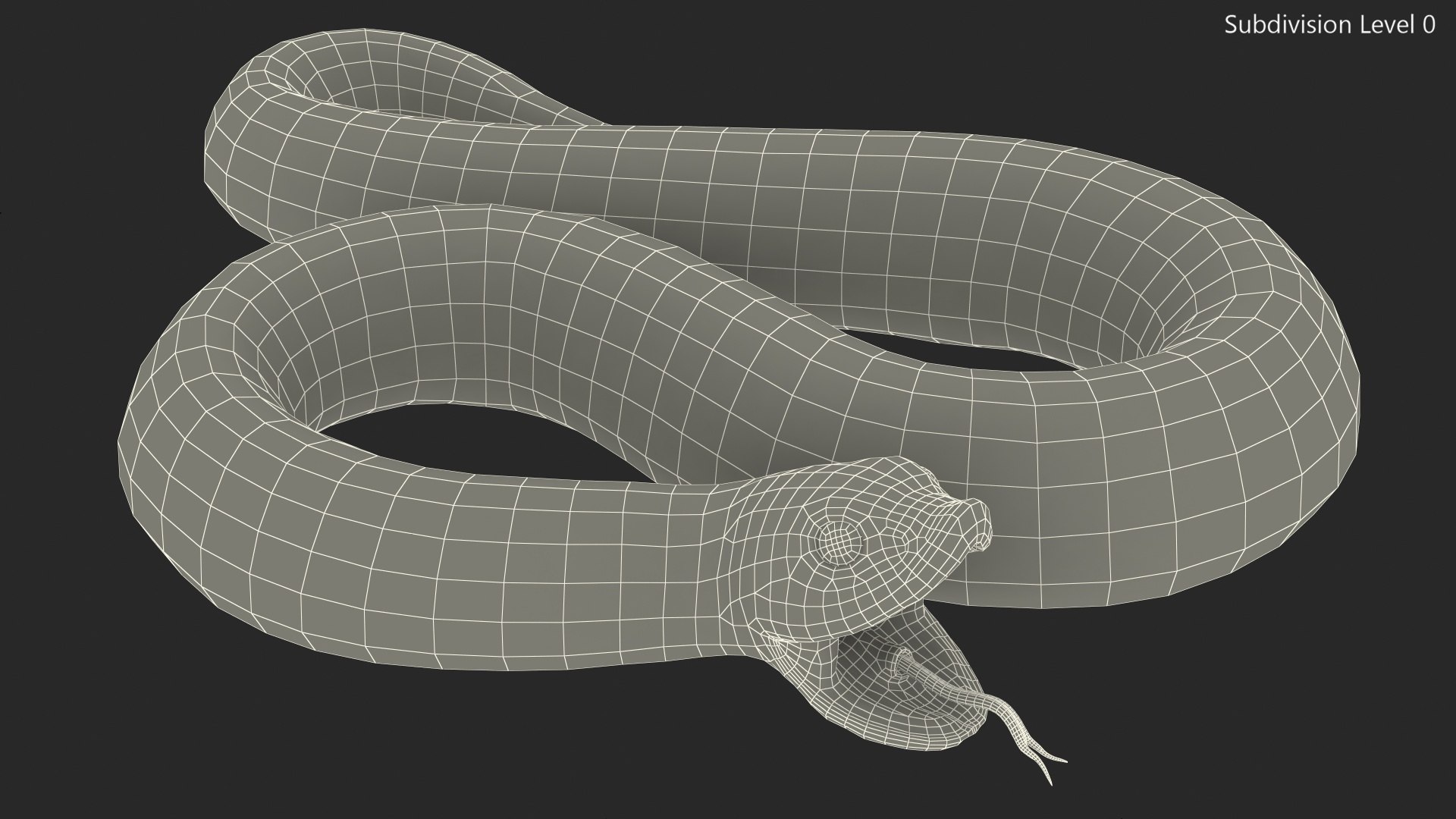 albino hognose snake rigged 3D https://p.turbosquid.com/ts-thumb/86/XHalyk/3arDeXaA/albinohognosesnakeriggedc4dmodel023/jpg/1574834318/1920x1080/fit_q87/6acf7ffb19cb22f43e9a3f72f8aa5794f3644c36/albinohognosesnakeriggedc4dmodel023.jpg