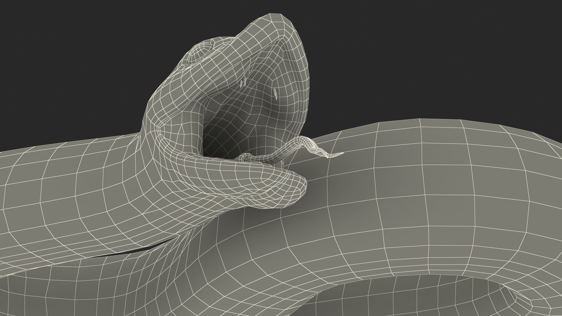 albino hognose snake rigged 3D https://p.turbosquid.com/ts-thumb/86/XHalyk/KoOCvjNo/albinohognosesnakeriggedc4dmodel031/jpg/1574834376/1920x1080/fit_q87/4a4ba16318f689b60239322f1ff0350871a408ec/albinohognosesnakeriggedc4dmodel031.jpg