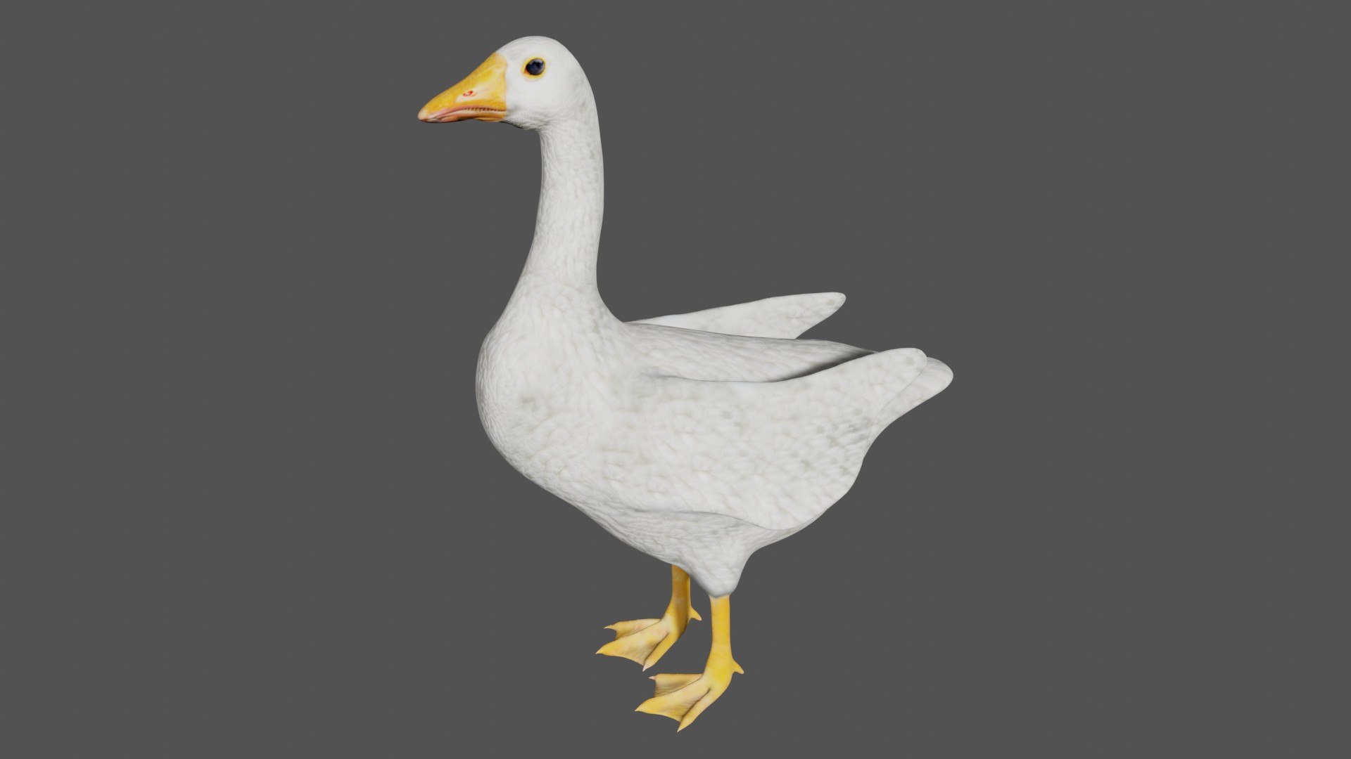 Goose Bird 3D - TurboSquid 1747783