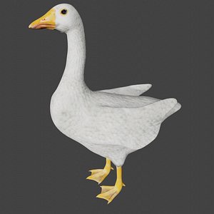 Goose bird 3D