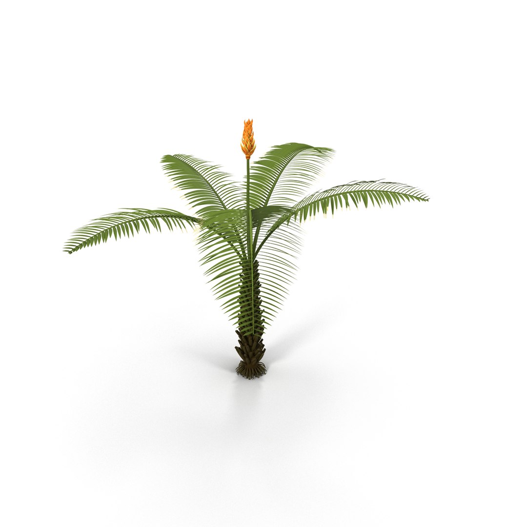 3dsmax Fern