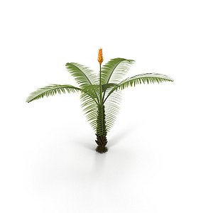 3dsmax fern