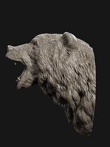 bear head grin 3D model