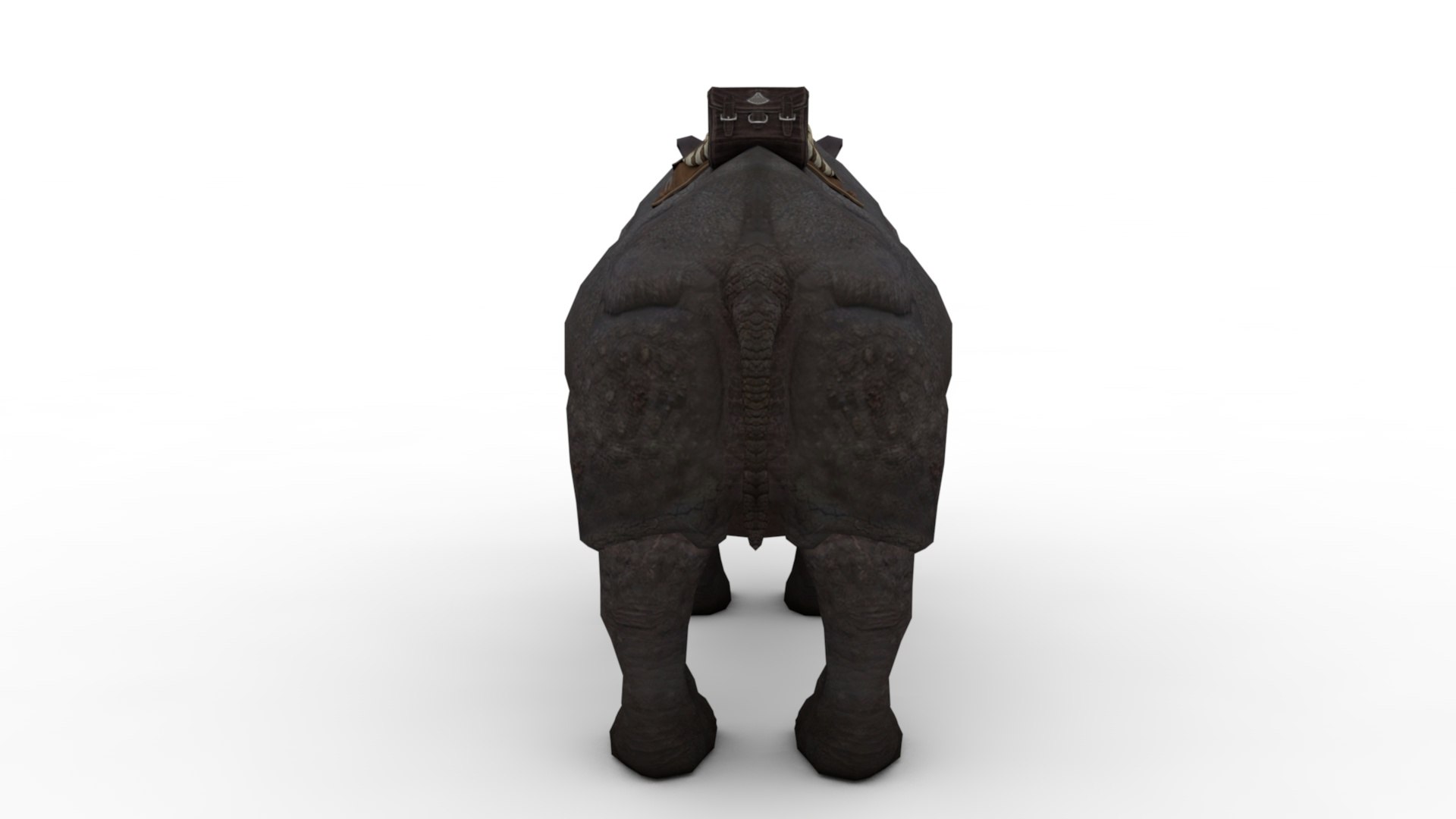 3D Model Black Rhino - TurboSquid 1962252