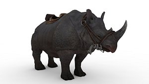 3D model black Rhino