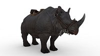 black Rhino