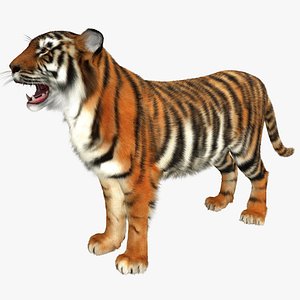 max tiger 2 fur rigged