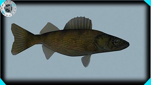 walleye fish 3d model