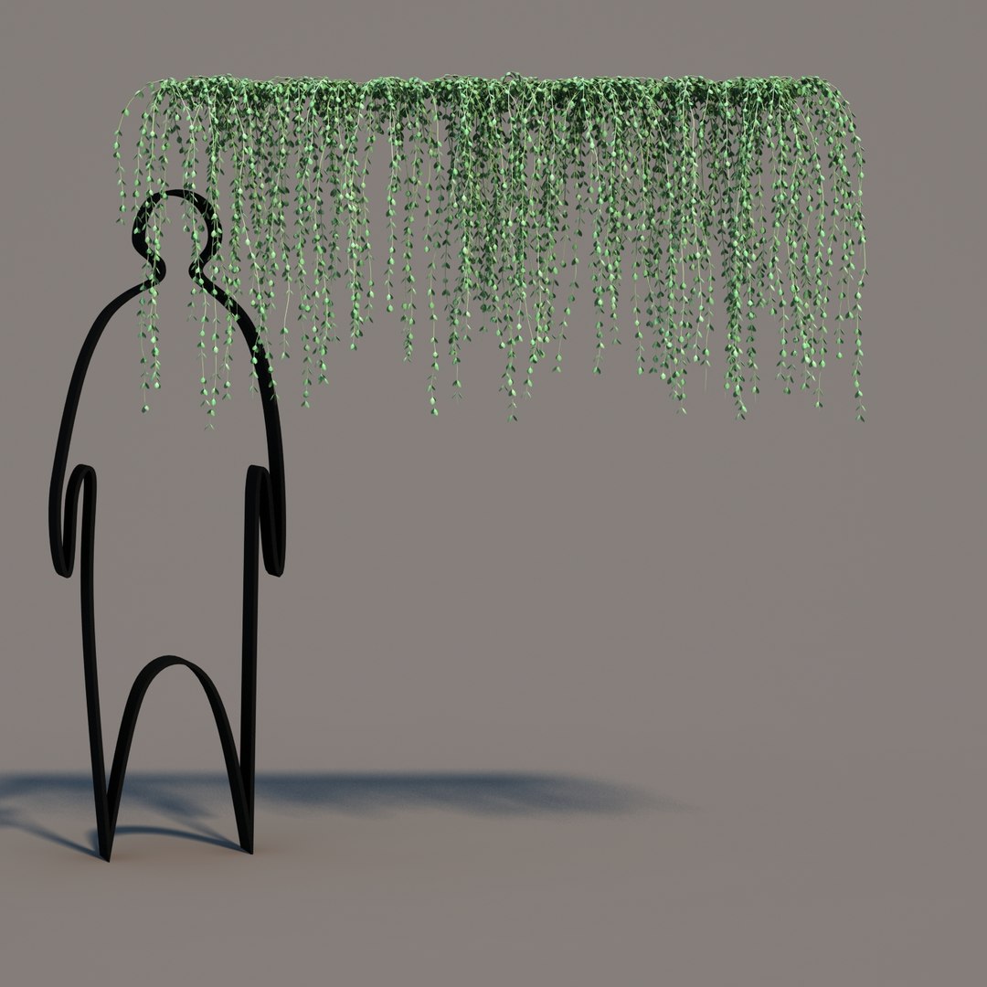 hanging dischidia 3D model https://p.turbosquid.com/ts-thumb/86/xFgjyy/20LblbPb/dischidiahanging_03/jpg/1591166370/1920x1080/fit_q87/5f5e100780ebba6e1dd9213722507bb3a245fb1b/dischidiahanging_03.jpg