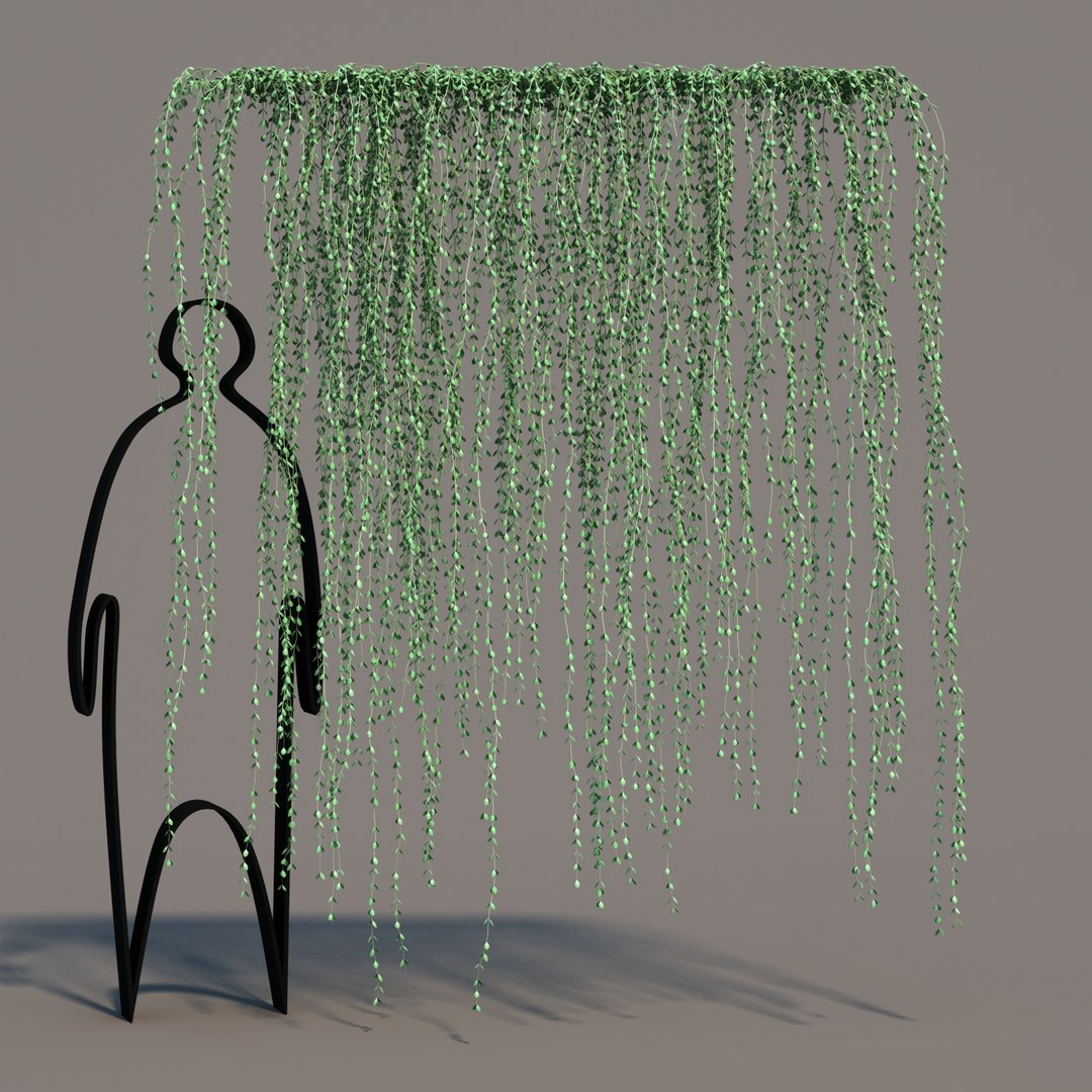 hanging dischidia 3D model https://p.turbosquid.com/ts-thumb/86/xFgjyy/72ZREHiU/dischidiahanging_010/jpg/1591166371/1920x1080/fit_q87/19627f6f2e98441c98b5675be4c3e3c1c43c356f/dischidiahanging_010.jpg