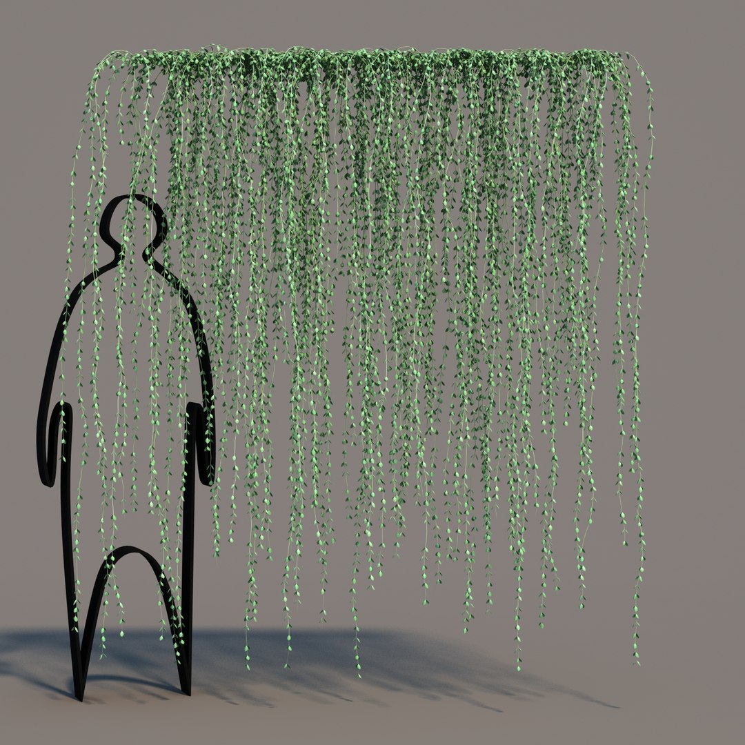 hanging dischidia 3D model https://p.turbosquid.com/ts-thumb/86/xFgjyy/9n5dWTFb/dischidiahanging_09/jpg/1591166371/1920x1080/fit_q87/3c07729e4fdc63d36ab9b60b4754c9f9cd15ffb1/dischidiahanging_09.jpg