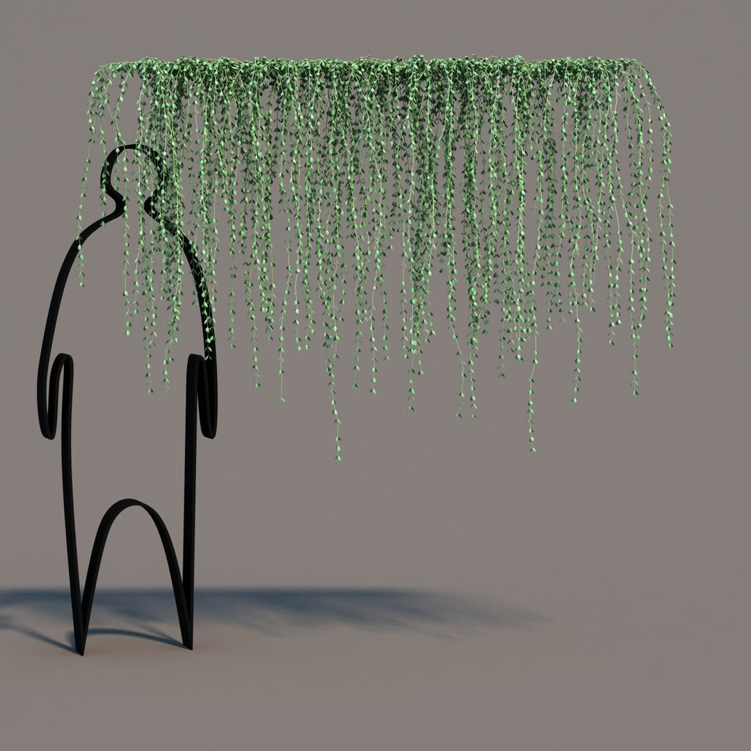 hanging dischidia 3D model https://p.turbosquid.com/ts-thumb/86/xFgjyy/AwIDXnqU/dischidiahanging_06/jpg/1591166371/1920x1080/fit_q87/a0526af2fb198b1c173ac13a8f034da50ff24e5d/dischidiahanging_06.jpg