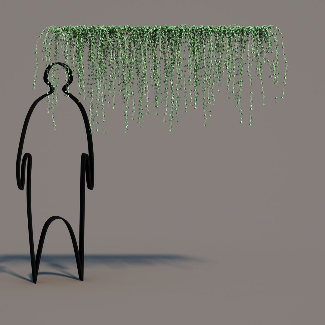hanging dischidia 3D model https://p.turbosquid.com/ts-thumb/86/xFgjyy/G4vliH6I/dischidiahanging_02/jpg/1591166370/1920x1080/fit_q87/5689871c6561c4678221c0d3c7ddfe4b82788345/dischidiahanging_02.jpg
