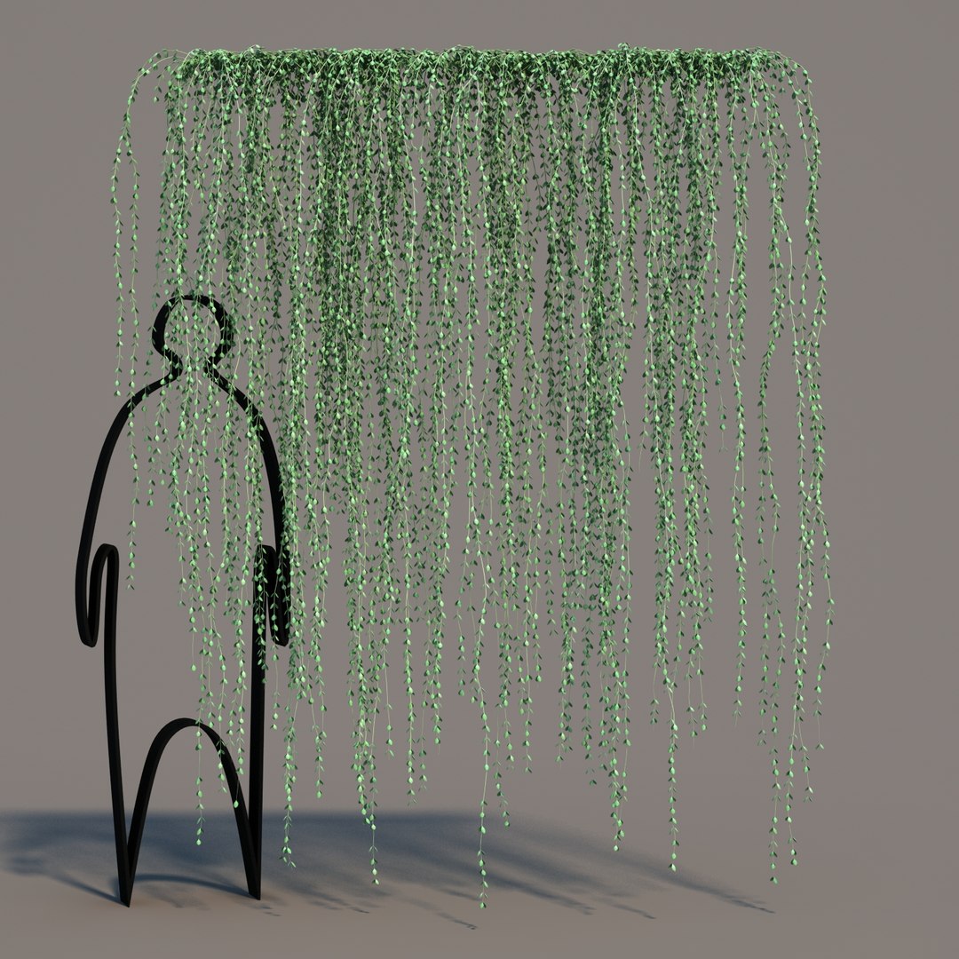 hanging dischidia 3D model https://p.turbosquid.com/ts-thumb/86/xFgjyy/HIw3k0Pm/dischidiahanging_012/jpg/1591166371/1920x1080/fit_q87/b19322af1ac0b80f864a0c540e8a2fed00200cff/dischidiahanging_012.jpg