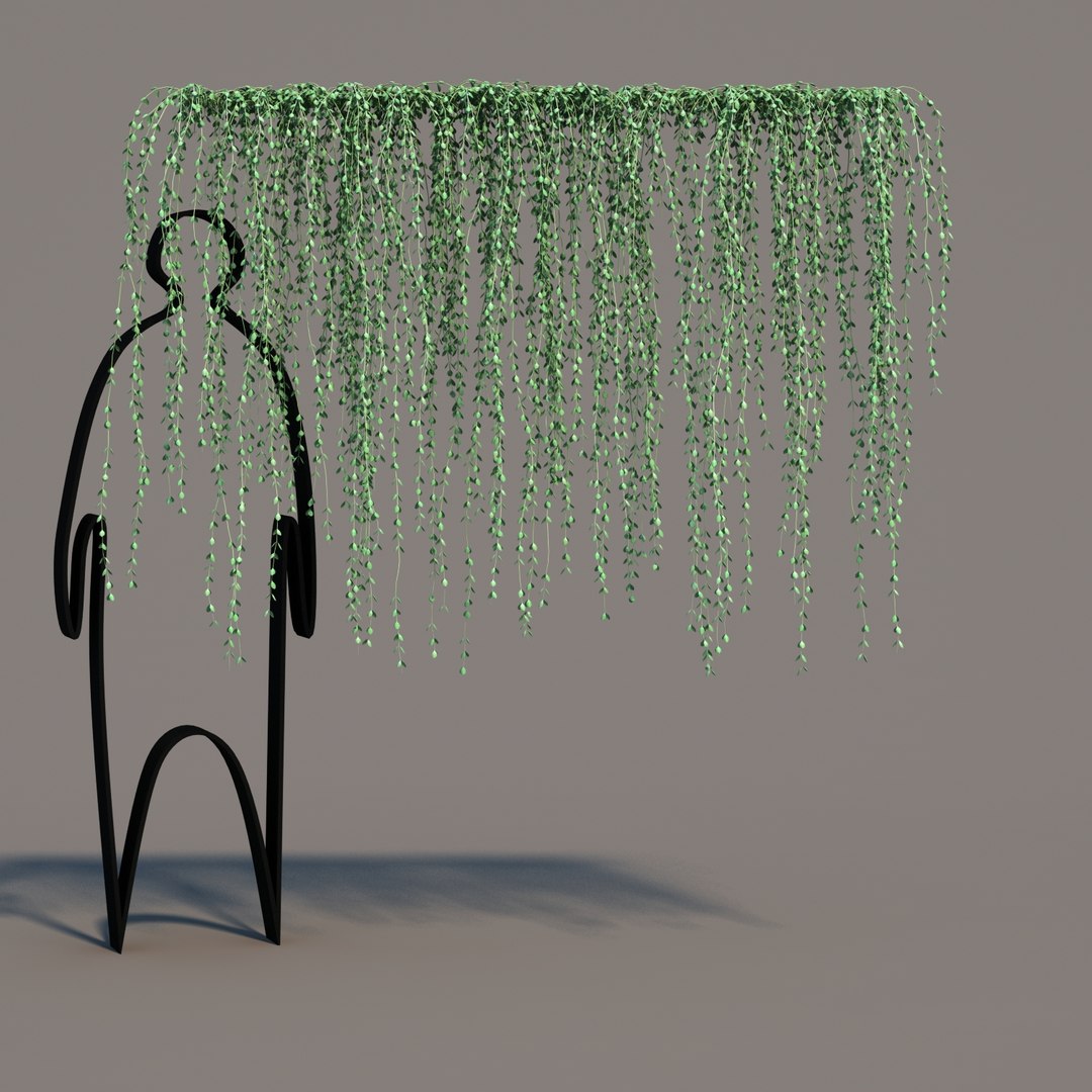 hanging dischidia 3D model https://p.turbosquid.com/ts-thumb/86/xFgjyy/IzHavqCl/dischidiahanging_08/jpg/1591166371/1920x1080/fit_q87/b8c54689803d6826764367d0509b8659d03c1caa/dischidiahanging_08.jpg