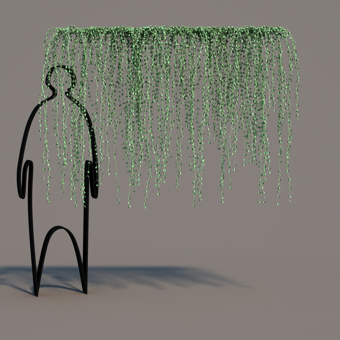 hanging dischidia 3D model https://p.turbosquid.com/ts-thumb/86/xFgjyy/NKErbgAv/dischidiahanging_07/jpg/1591166371/1920x1080/fit_q87/68269ba61218e489bea6c8ee5d089698fce7ef8a/dischidiahanging_07.jpg