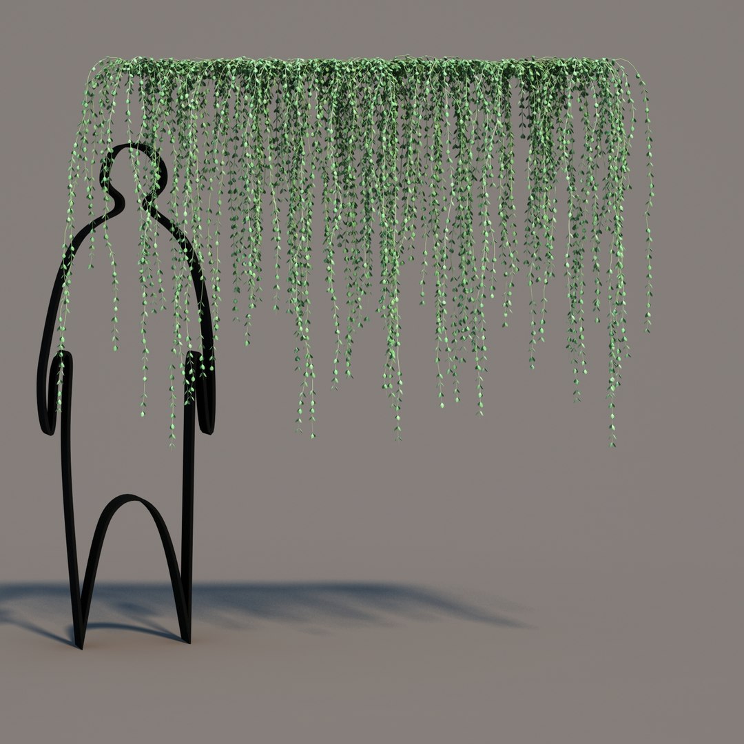 hanging dischidia 3D model https://p.turbosquid.com/ts-thumb/86/xFgjyy/Q8OiOzpj/dischidiahanging_05/jpg/1591166371/1920x1080/fit_q87/1d0fdb54ef274eca0c6e291c57b5c71fcb8b43ff/dischidiahanging_05.jpg