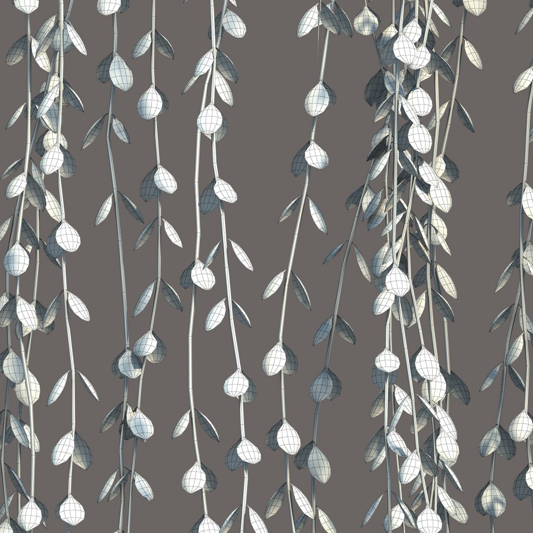 hanging dischidia 3D model https://p.turbosquid.com/ts-thumb/86/xFgjyy/XJntrbkk/dischidiahanging_014/jpg/1591166371/1920x1080/fit_q87/6c92312fb39201abb599f5ee2a13049422b3854b/dischidiahanging_014.jpg