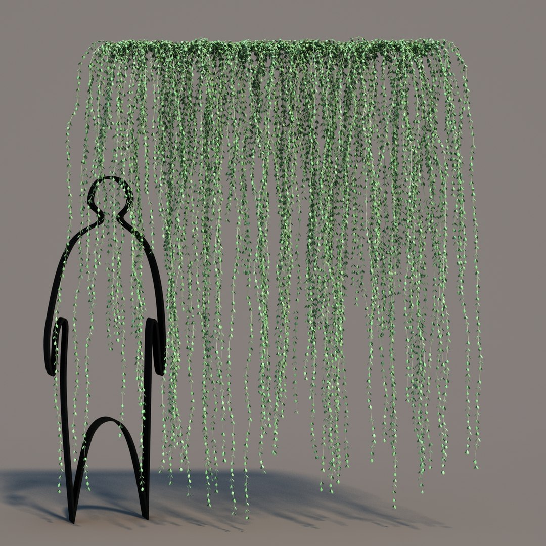hanging dischidia 3D model https://p.turbosquid.com/ts-thumb/86/xFgjyy/Y41I3so5/dischidiahanging_011/jpg/1591166371/1920x1080/fit_q87/5484e049911310b056ac1850582e954e14347dc8/dischidiahanging_011.jpg