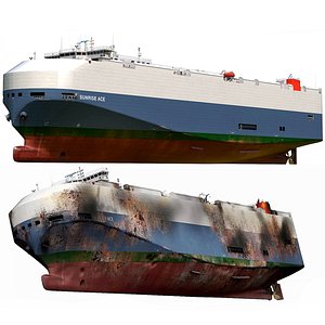 Vehicles Carrier RoRo and burnt ship 3D Model Pack 3D model