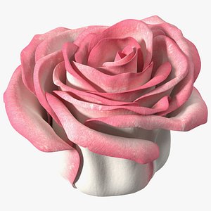 3D Rose Bud Pink