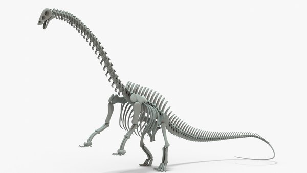 modelo 3d Esqueleto de malla base aparejado de Brontosaurio ...