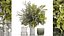 Lush bouquet of cherry blossom branches with sakura leaves 348