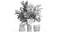 Lush bouquet of cherry blossom branches with sakura leaves 348