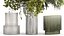 Lush bouquet of cherry blossom branches with sakura leaves 348