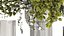 Lush bouquet of cherry blossom branches with sakura leaves 348