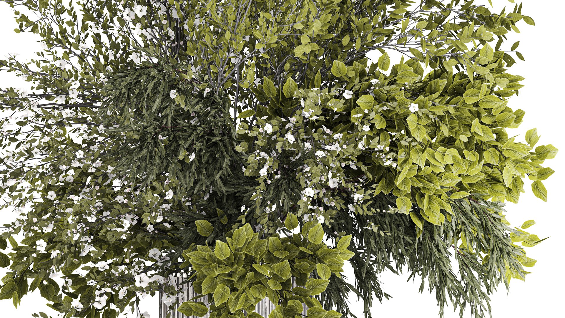3D model Lush bouquet of cherry blossom branches with sakura leaves 348 https://p.turbosquid.com/ts-thumb/87/M0LPv9/Pq/1greenbouquet06022405/jpg/1707406108/1920x1080/fit_q87/767b47e20c612249177d1100f05bfad56252bc66/1greenbouquet06022405.jpg