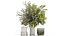Lush bouquet of cherry blossom branches with sakura leaves 348