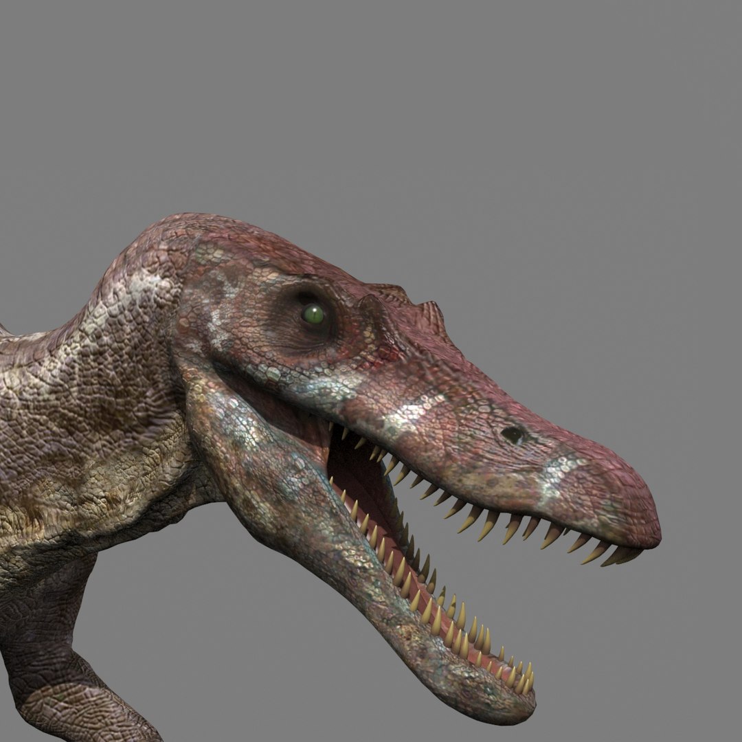 Dino Extra Pack 8K - fully animated 3D https://p.turbosquid.com/ts-thumb/87/Qb2MID/3u/39/jpg/1686165328/1920x1080/fit_q87/904c53d0aabcb3b09c5e18cf9f070c64fdde2b5f/39.jpg