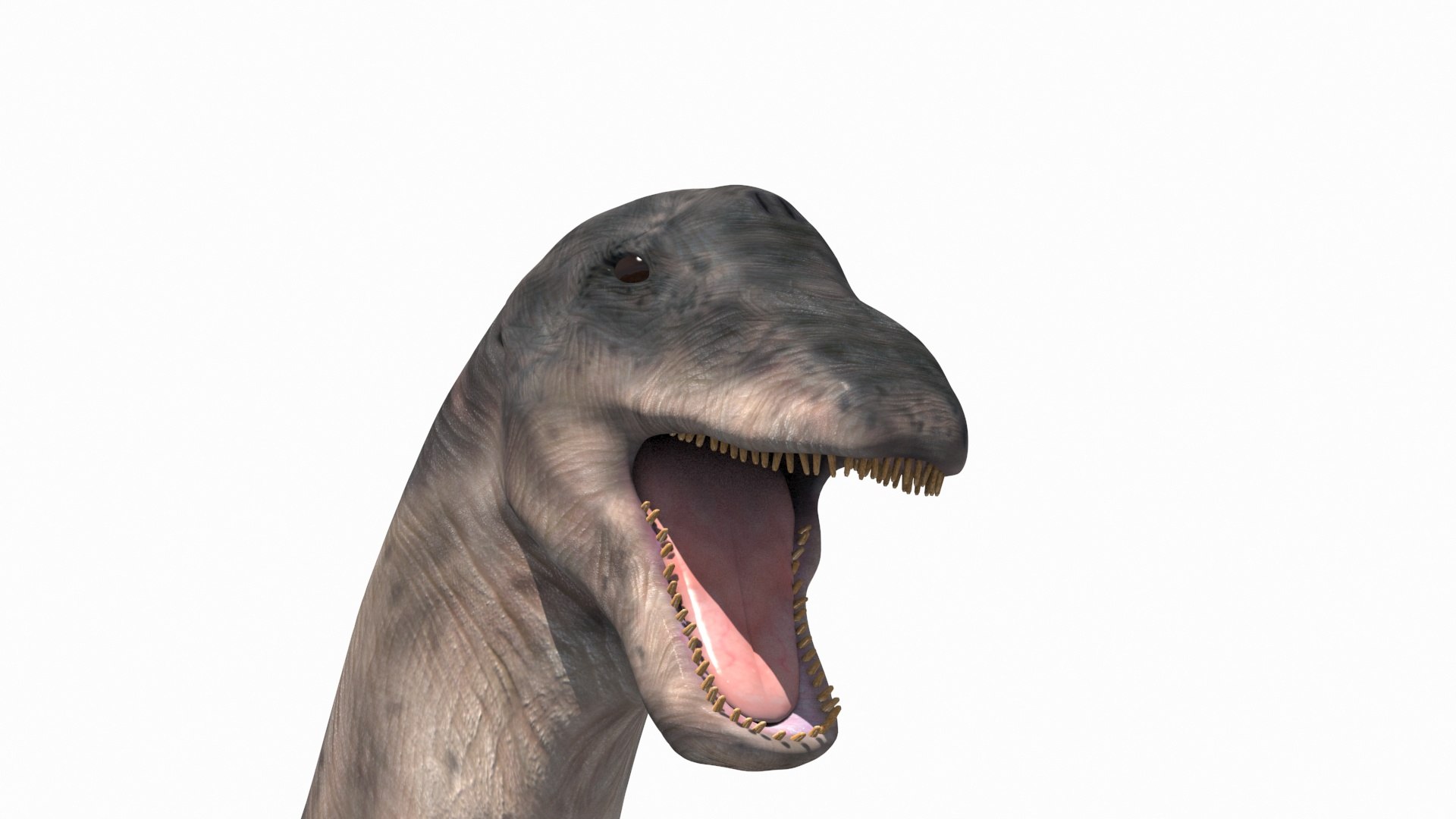 Dino Extra Pack 8K - fully animated 3D https://p.turbosquid.com/ts-thumb/87/Qb2MID/4G/84/jpg/1686165570/1920x1080/fit_q87/350b8c2db76086d484278ffe73c418d3afbd1a59/84.jpg