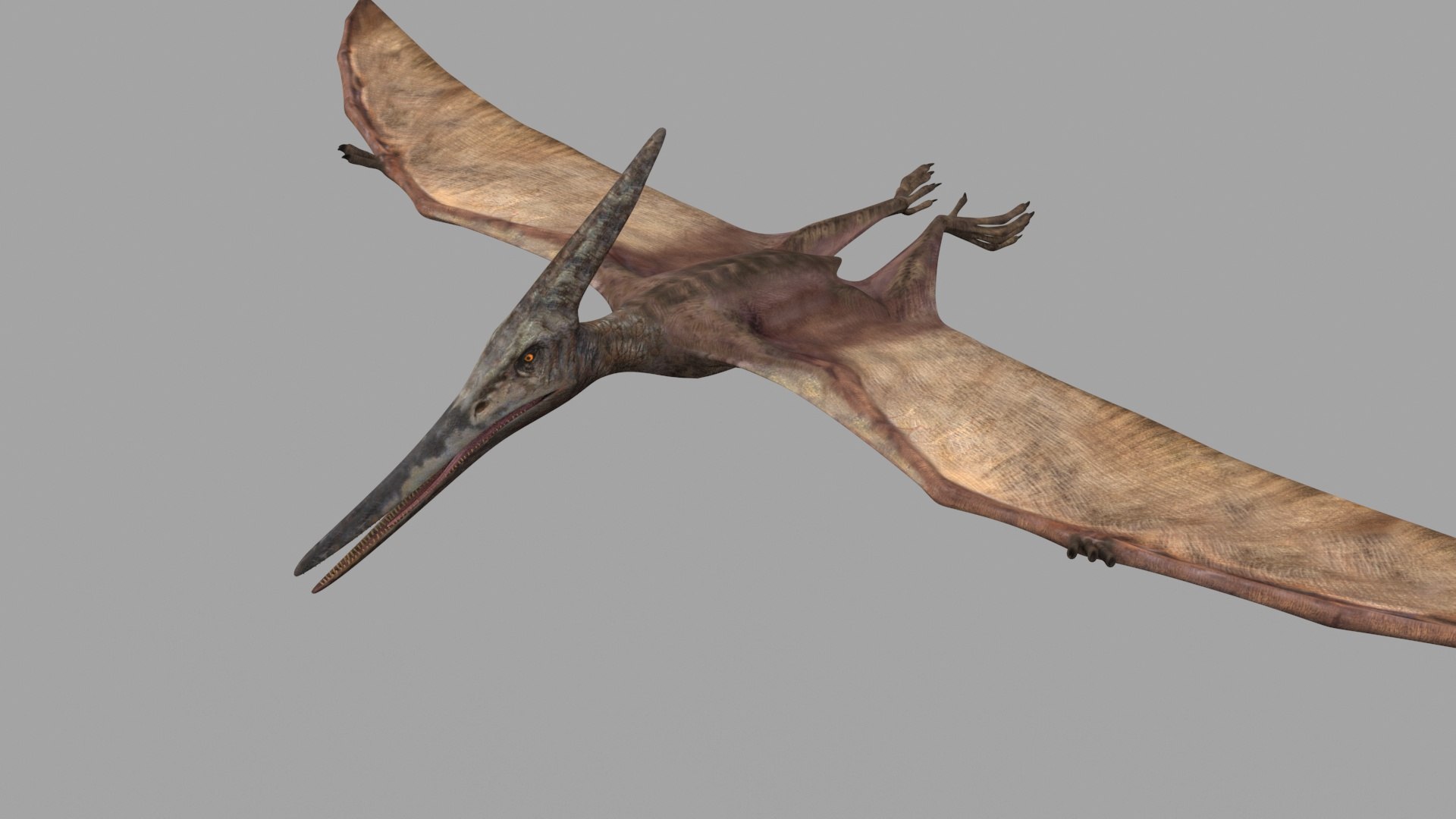 Dino Extra Pack 8K - fully animated 3D https://p.turbosquid.com/ts-thumb/87/Qb2MID/BG/11/jpg/1686165289/1920x1080/fit_q87/8dd16a0acef81e0e38a8dca911eda3d0b1c78fdb/11.jpg