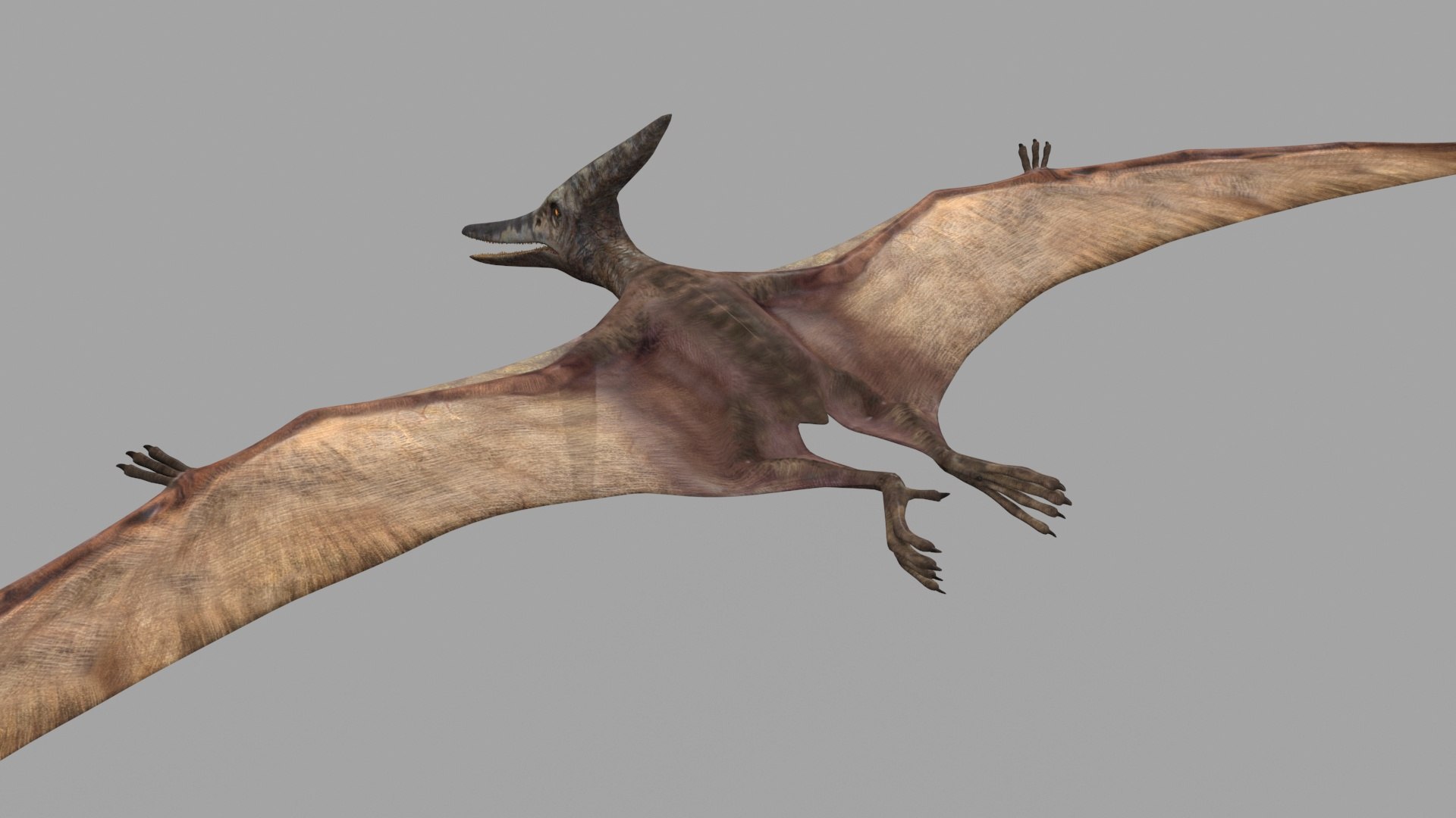Dino Extra Pack 8K - fully animated 3D https://p.turbosquid.com/ts-thumb/87/Qb2MID/CM/10/jpg/1686165288/1920x1080/fit_q87/55e551bbf52524f1d9846c4c333fc2f73e42adc3/10.jpg